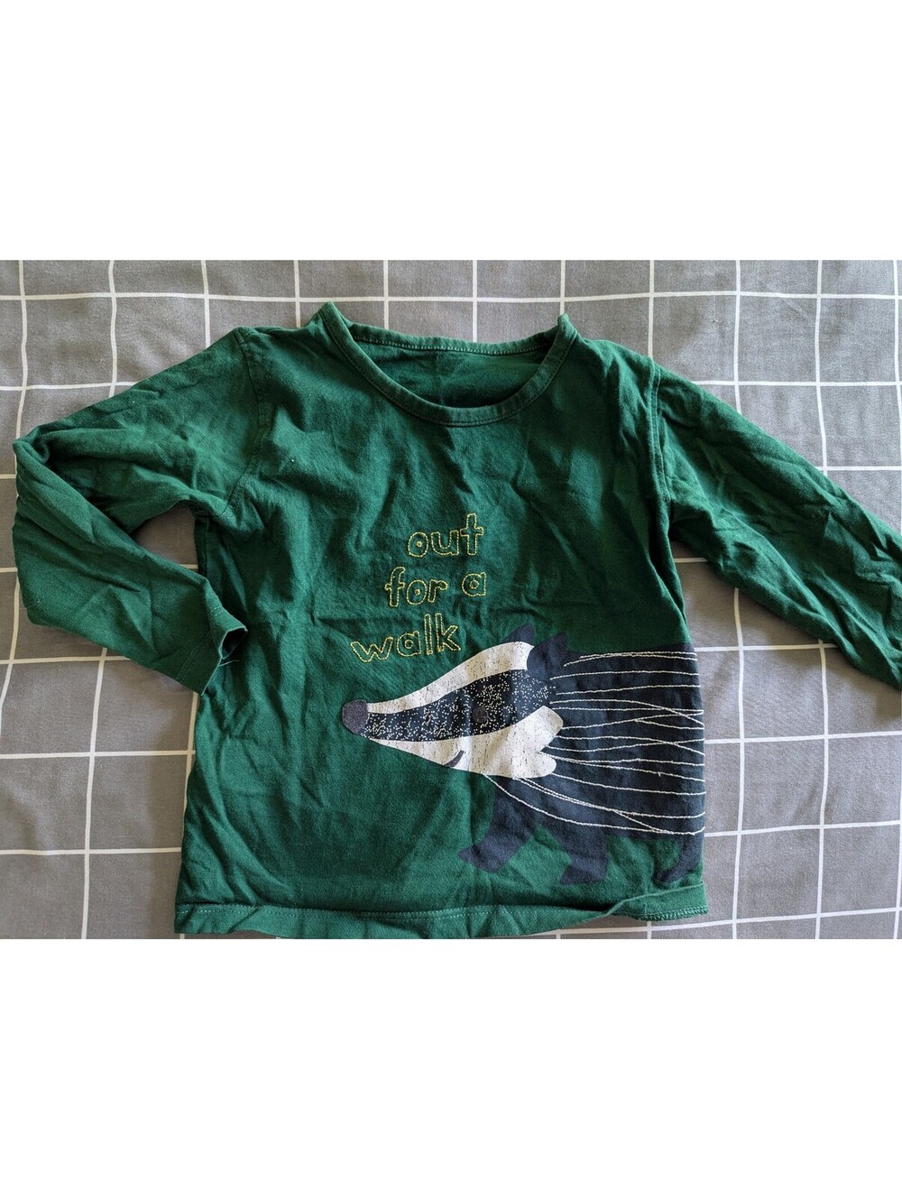 Badger out for a walk top